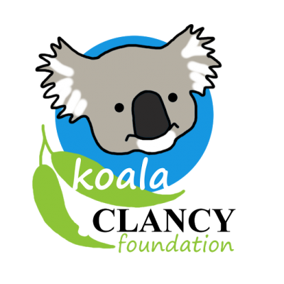 Nous avons donné à Koala Clancy un filet de sécurité ! 3