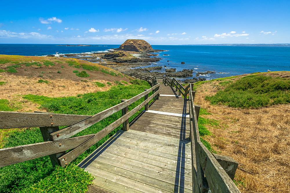 Parade avec les pingouins de Phillip Island sur Australia Travel 5