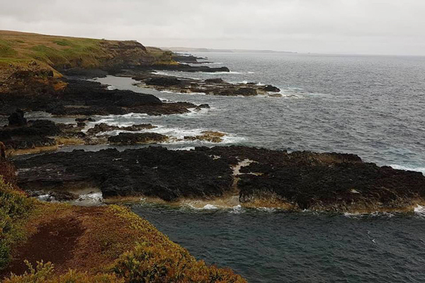 Parade avec les pingouins de Phillip Island sur Australia Travel 6