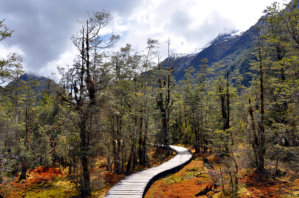 Parc national du Fiordland - Un pays de vacances en Nouvelle-Zélande 2