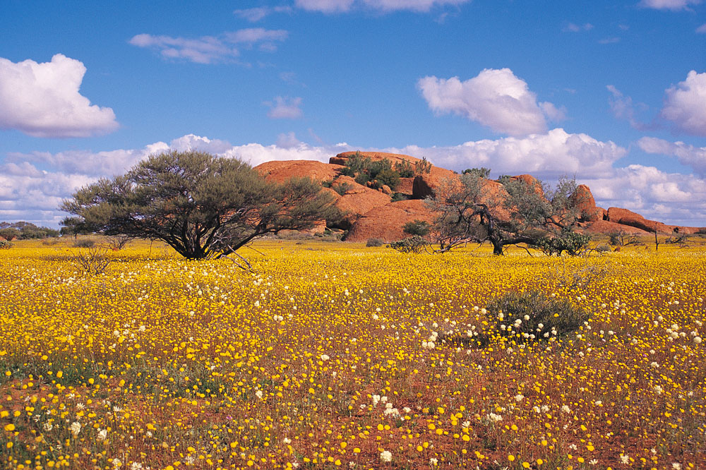 Quelle est la meilleure période pour visiter l'Australie ? 10