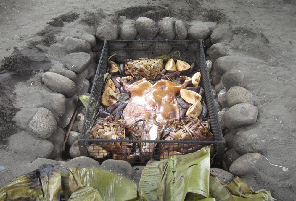 Saveurs fraîches des îles de Tahiti 2