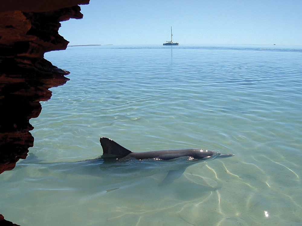 Six bonnes raisons d'aller vers l'ouest lors de votre voyage en Australie 6