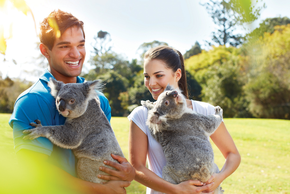 Trois excellentes alternatives au voyage classique en Australie 3