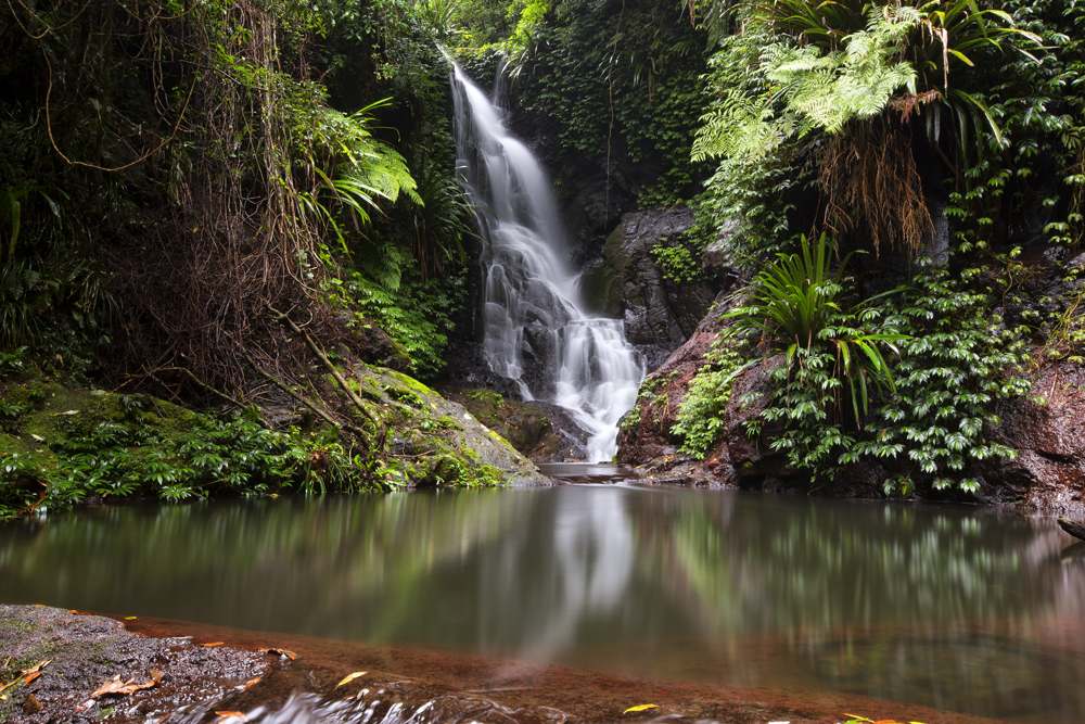 Trois excellentes alternatives au voyage classique en Australie 4