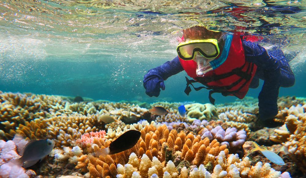 Trouvez l'aventure sur le site Australia Travel 1
