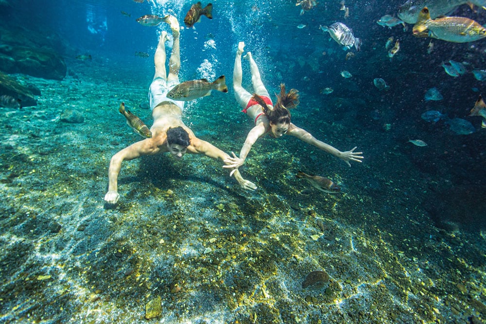 Une culture riche et une nature intacte à Samoa 3