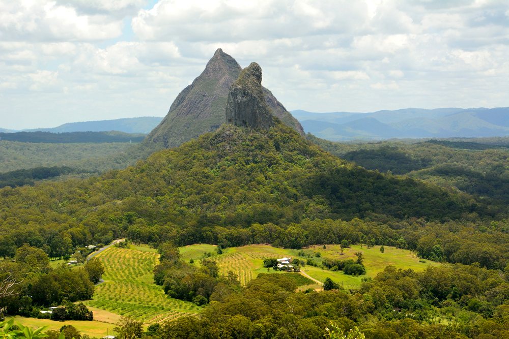 Visite du côté le plus sauvage du Queensland au zoo d'Australie 2