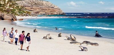 Visiter les icônes d'Oz pendant des vacances en Australie (1ère partie) 4