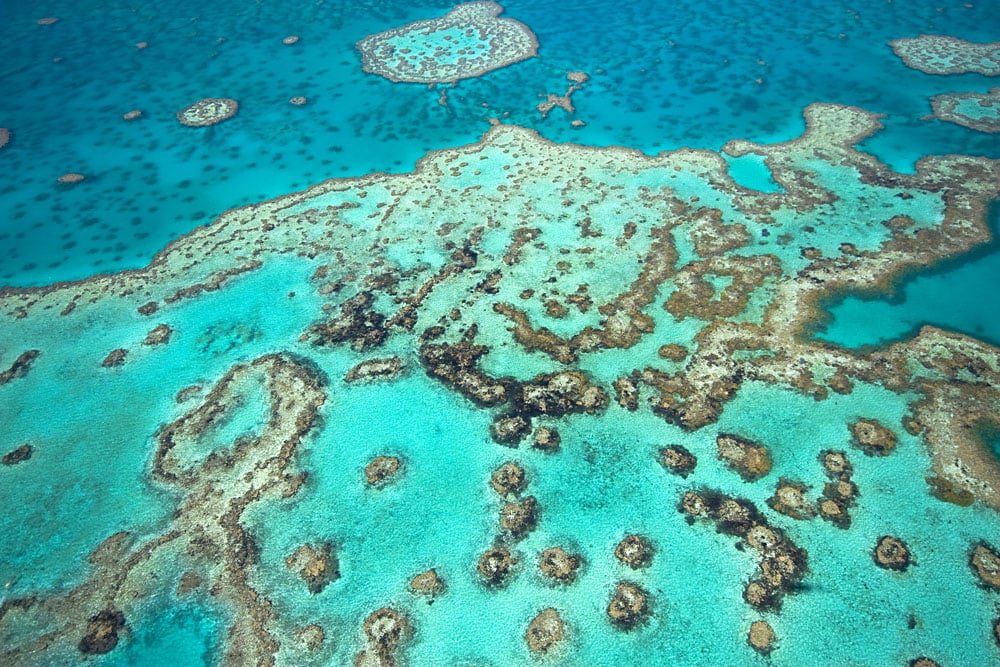 Visiter les icônes d'Oz pendant des vacances en Australie (2ème partie) 5
