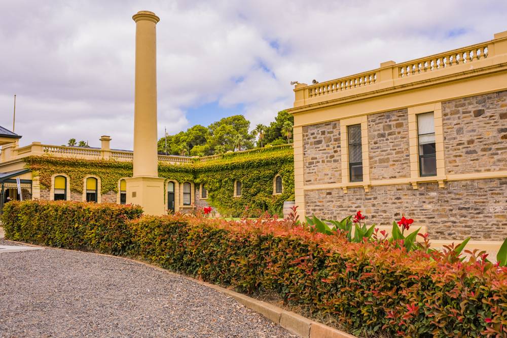 Visitez des régions viticoles exceptionnelles et bien plus encore lors d'un voyage en Australie. 2