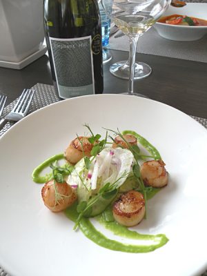 Visitez la baie d'Hawke ensoleillée et succulente lors d'un voyage en Nouvelle-Zélande 3