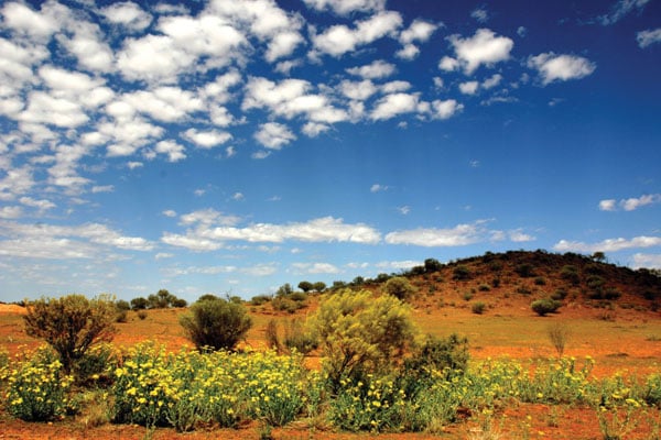 Votre guide du voyage en train en Australie 6