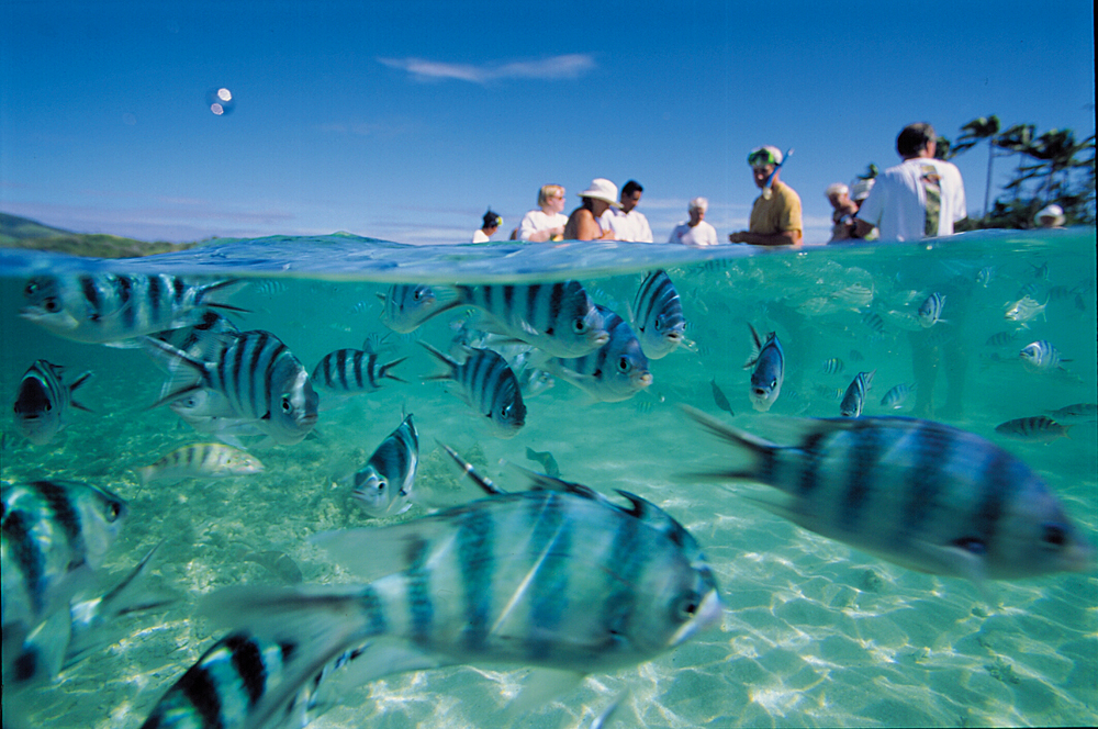 Votre guide pour une croisière aux Fidji dans le Pacifique Sud 6