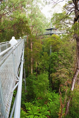 Votre guide ultime de la route des océans en Australie 6