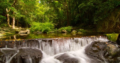 Circuits et forfaits vacances dans le Queensland 1