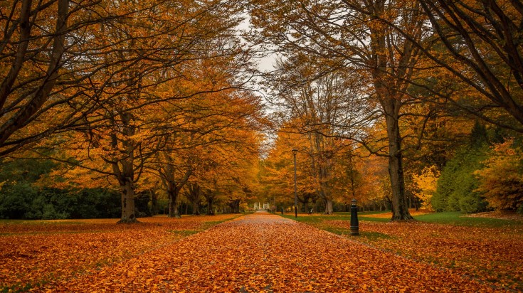 La Nouvelle-Zélande en mai : Météo et conseils de voyage 2