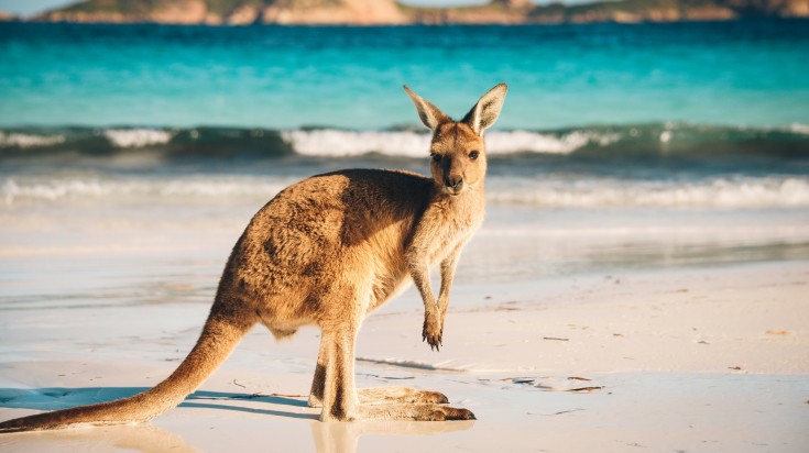 L'Australie en juin : Un mélange d'hiver chaud et froid 1