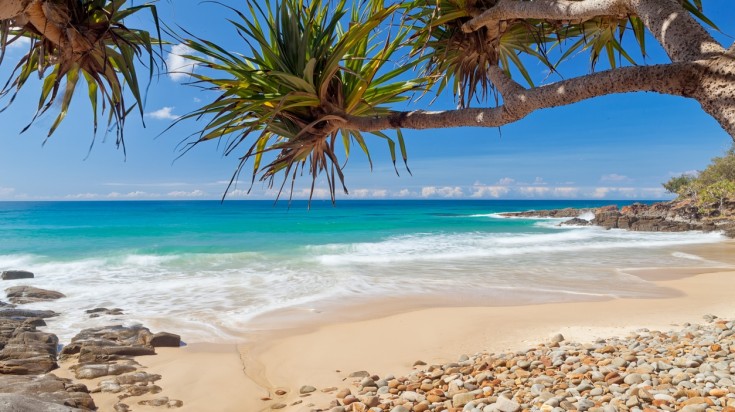 L'Australie en novembre : Météo et conseils de voyage 3
