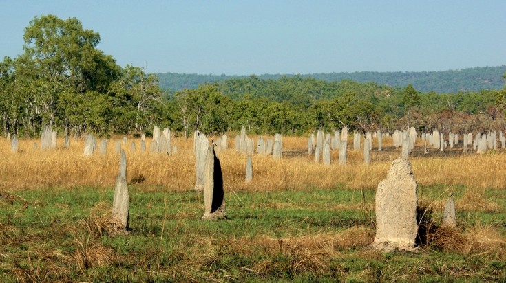 11 choses à faire à Darwin, Territoire du Nord de l'Australie 6
