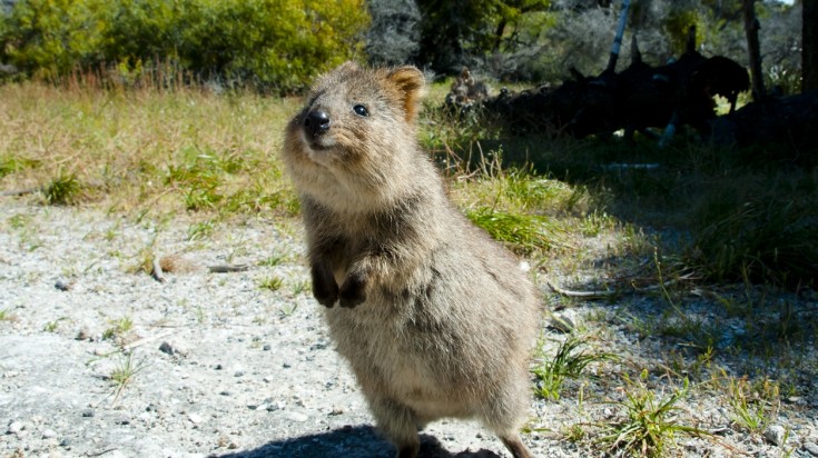 12 îles à visiter en Australie 3
