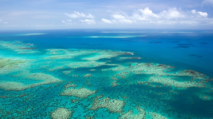12 meilleurs endroits pour faire de la plongée en Australie 2