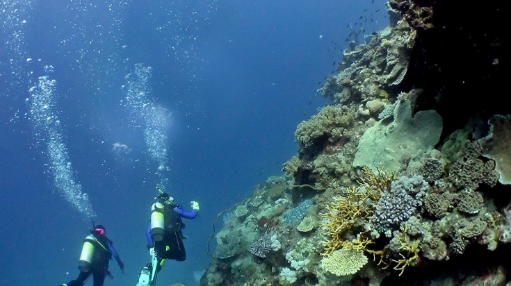 12 meilleurs endroits pour faire de la plongée en Australie 4
