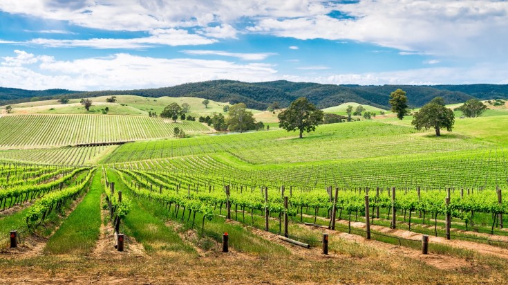 13 meilleurs endroits à visiter dans le sud de l'Australie 5