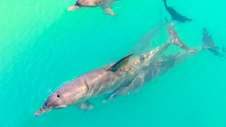 14 meilleurs endroits à visiter en Australie 11