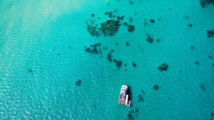 4 meilleurs endroits pour faire de la plongée dans la Grande Barrière de Corail 4