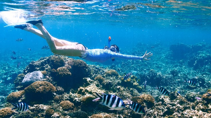 5 choses à faire pendant les vacances à la Grande Barrière de Corail 2