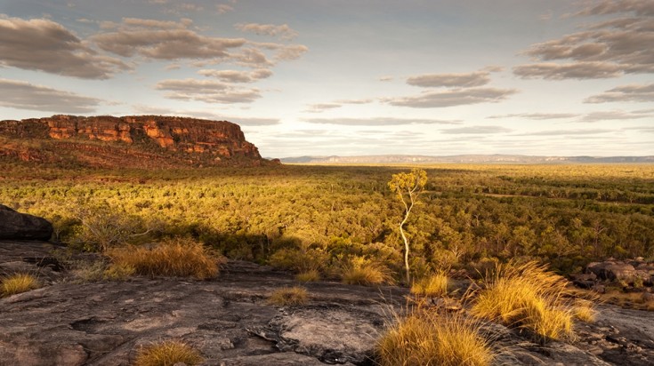 6 meilleurs parcs nationaux d'Australie à visiter 2