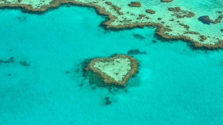 Côte Est de l'Australie : Guide de voyage 3