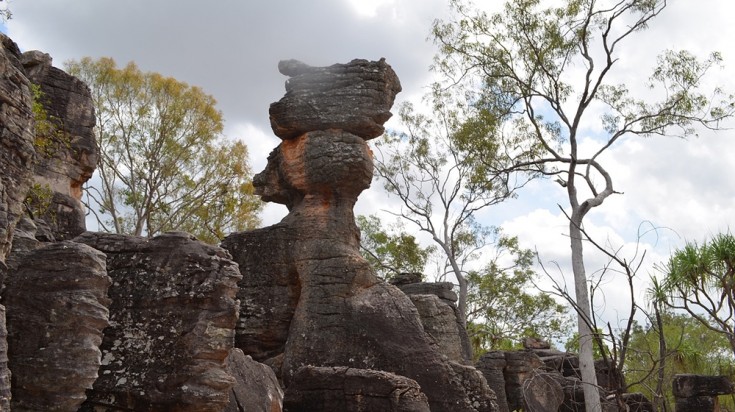 Guide du parc national de Litchfield 2