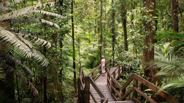 Les 10 meilleures choses à faire à Cairns 6