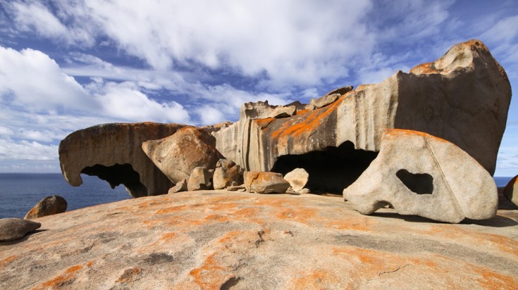 Les 10 meilleures choses à faire dans le parc national de Flinders Chase 3