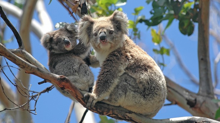 Les 10 meilleurs endroits à visiter à Sydney 7