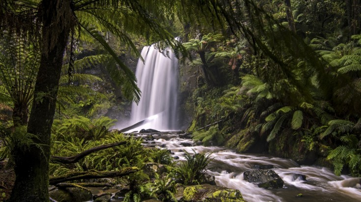 Les 12 Apôtres depuis Melbourne : Une excursion parfaite 4