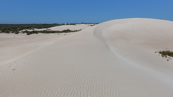 L'île Kangourou : Vue d'ensemble 3