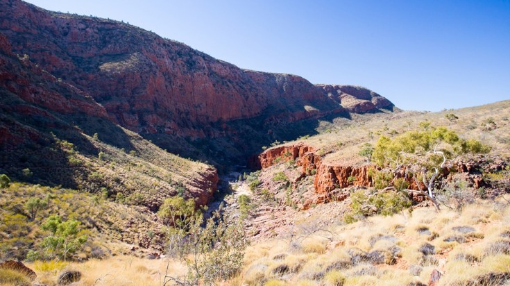 Principales activités à faire à Alice Springs 1
