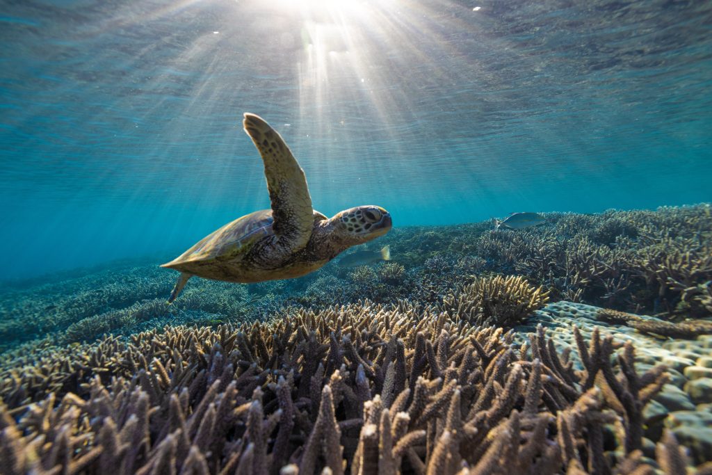 5 raisons de voyager en Australie et en Nouvelle-Zélande 5