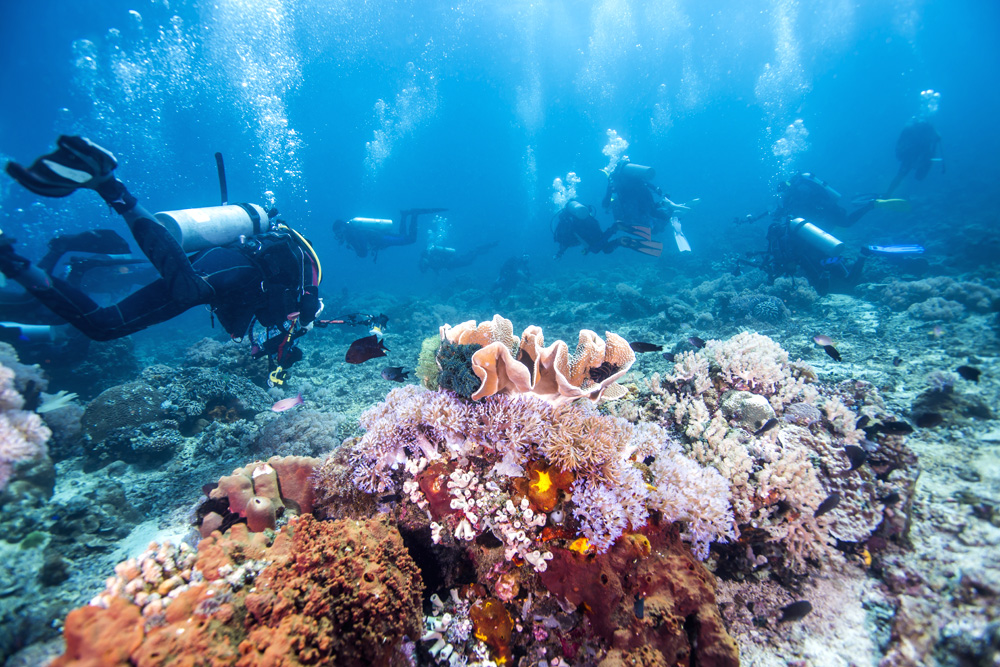6 expériences inoubliables dans le Queensland, l'État australien ensoleillé 3