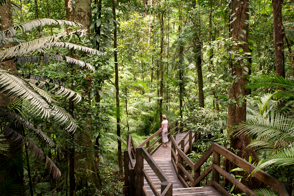 6 expériences inoubliables dans le Queensland, l'État australien ensoleillé 4