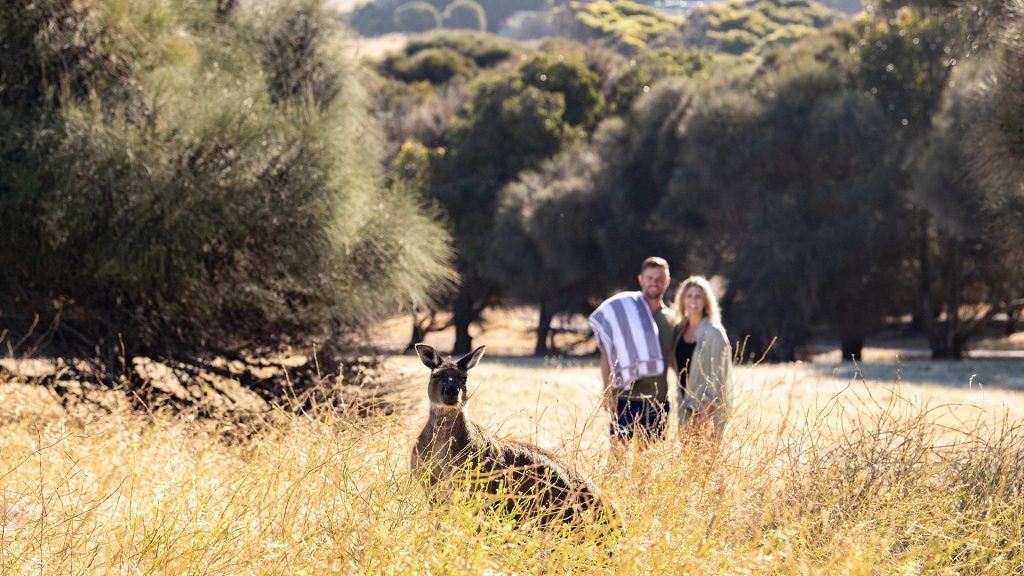 Australie-Méridionale : Explorez l'État le plus surprenant d'Australie 2