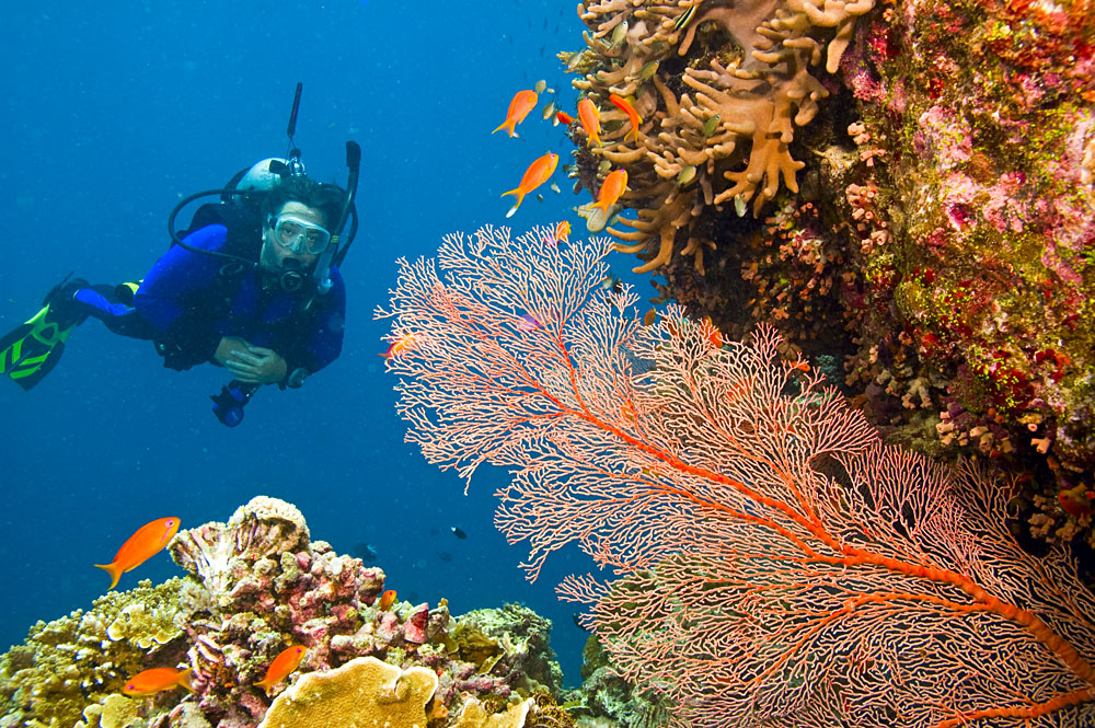 Barrière de Corail